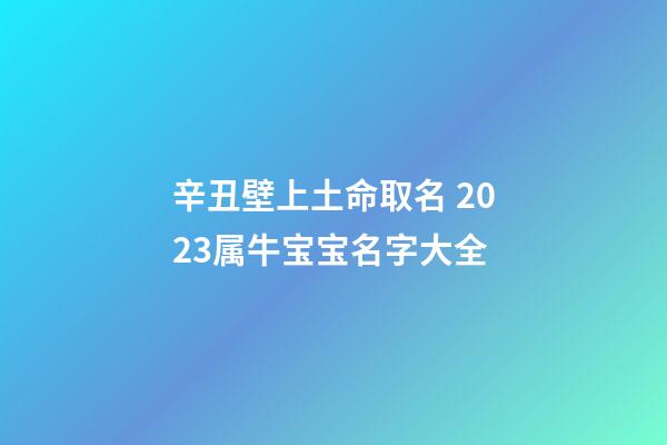 辛丑壁上土命取名 2023属牛宝宝名字大全